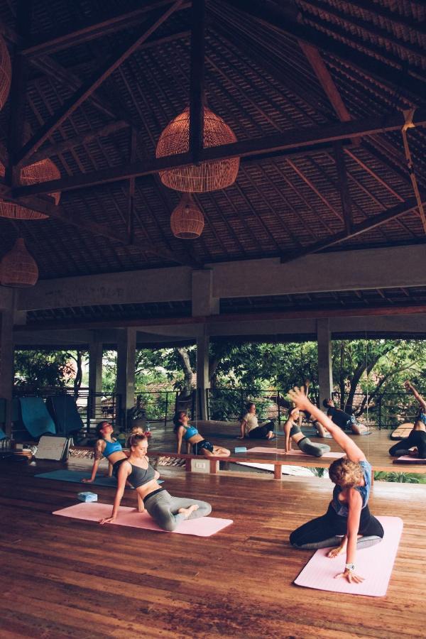 Endless Summer Surf Camp Kuta كوتا المظهر الخارجي الصورة